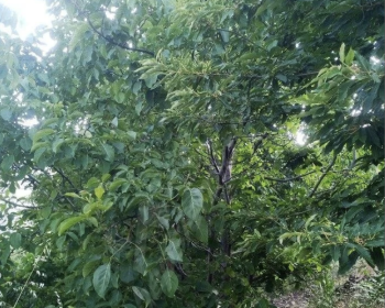 Ekran-Resmi-2025-07-31-03.04.21