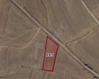 Ekran-Resmi-2025-07-31-03.05.05