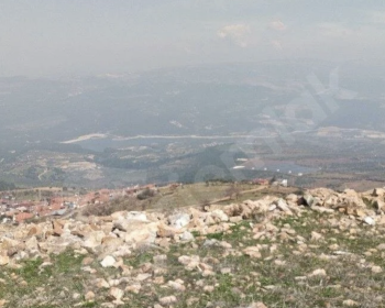 Ekran-Resmi-2025-07-31-03.05.59