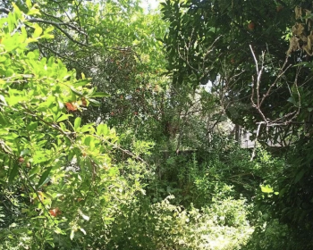 Ekran-Resmi-2025-07-31-03.07.36