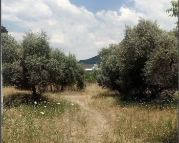 Ekran-Resmi-2025-07-31-03.08.30