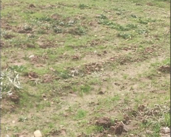 Ekran-Resmi-2025-07-31-03.09.48